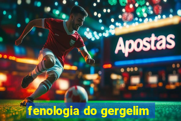 fenologia do gergelim